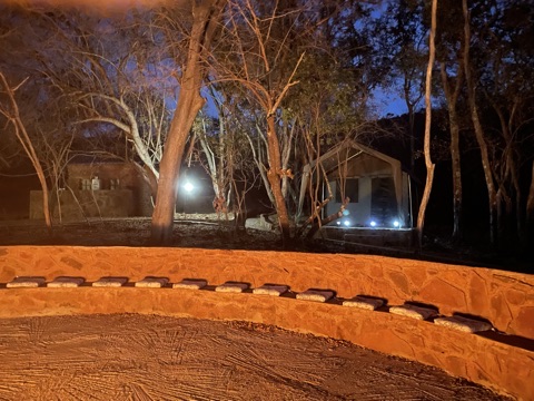 Tented Bush Camp at night with pathway lighting