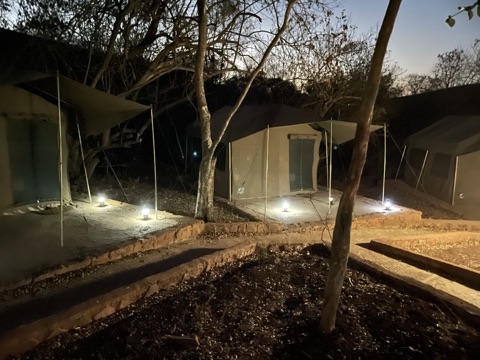 Safari tents and illuminated pathways at Cowley Safaris